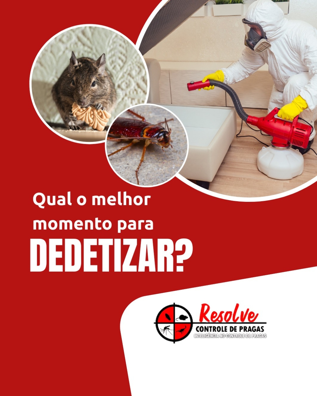 Por que veneno de mercado não resolve a infestação?