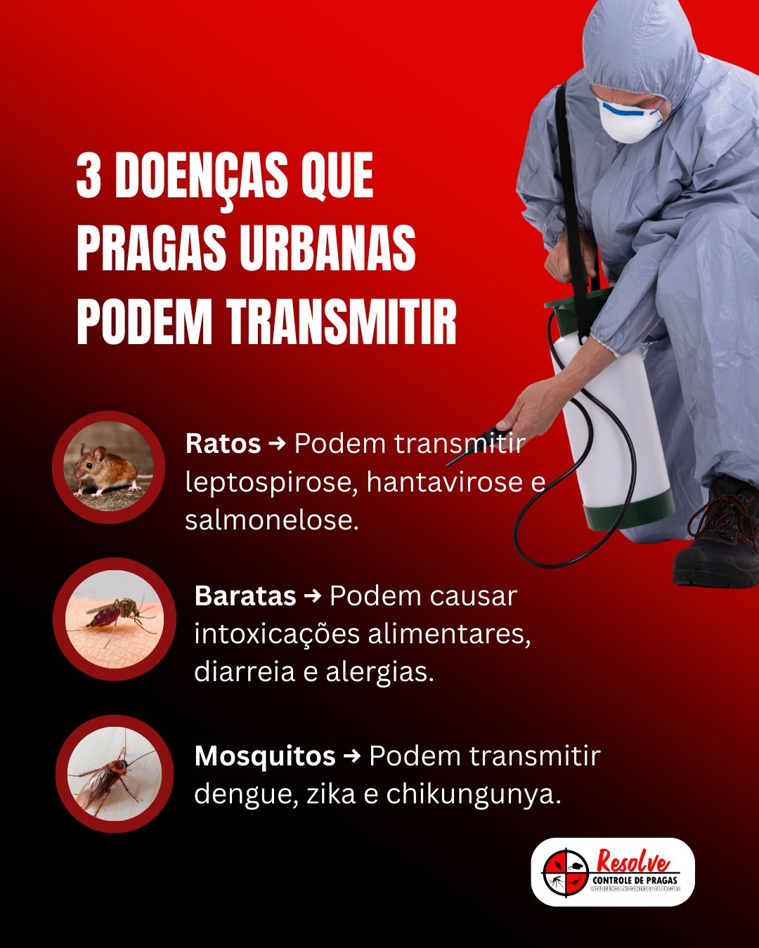 Quanto tempo dura o efeito da dedetização?